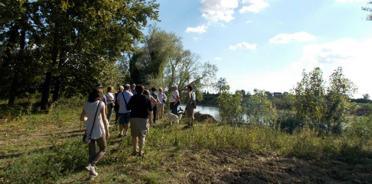 Parco Oglio sud: natura e bellezza e dove trovarli - OglioPoNews