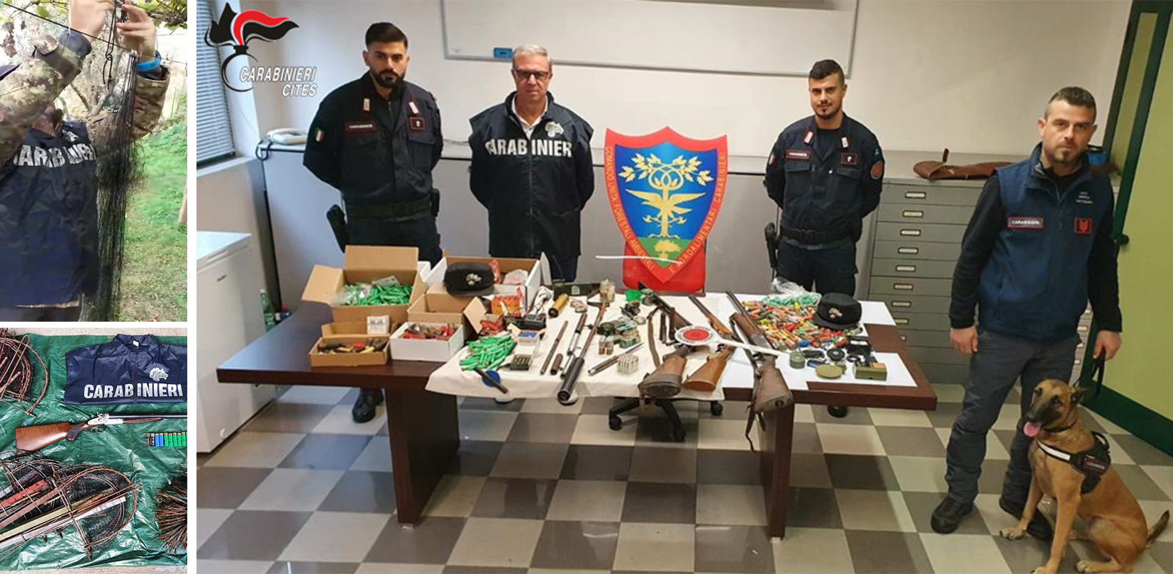 Carabinieri: sequestrati accessori di moda realizzati con pellami di  animali - Liguria24