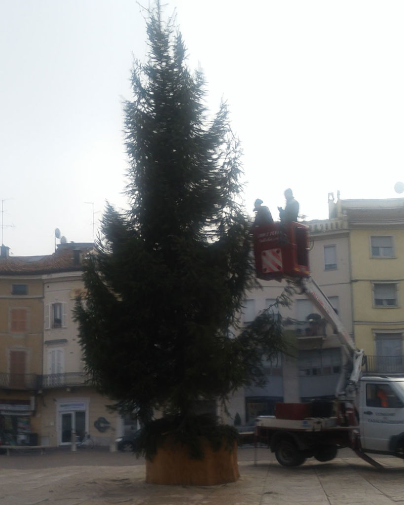 albero-natale